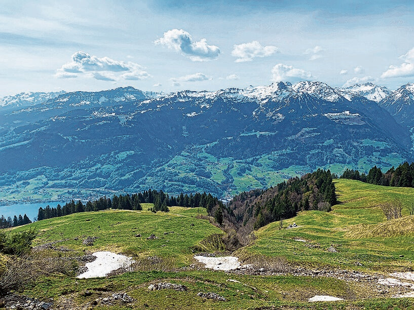 Union Suisse Des Arts Et Métiers Usam | Organisation Faîtière Des PME ...